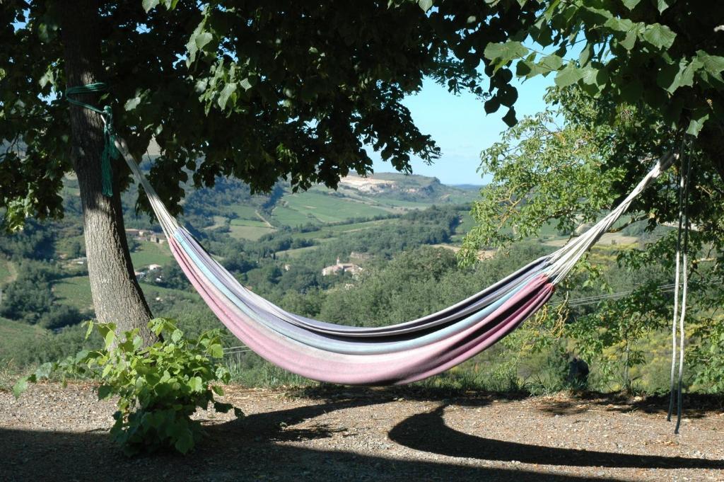 Domaine Bellelauze Bouriège Quarto foto