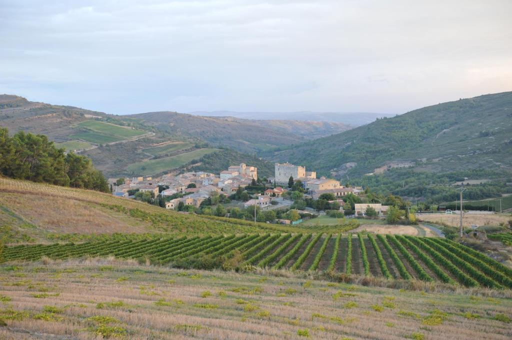 Domaine Bellelauze Bouriège Quarto foto